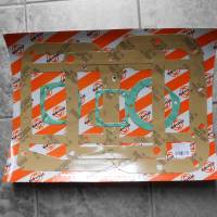 IMT garnitura zaptivki za menjac R65