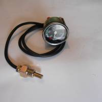 IMT termometar za vodu