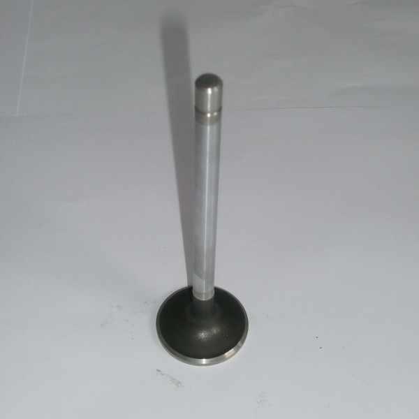 ŠTORE ventil motora izduvni autoventil