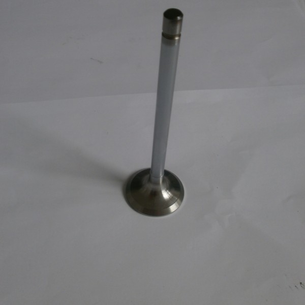 UNIVERZAL ventil motora izduvni trw